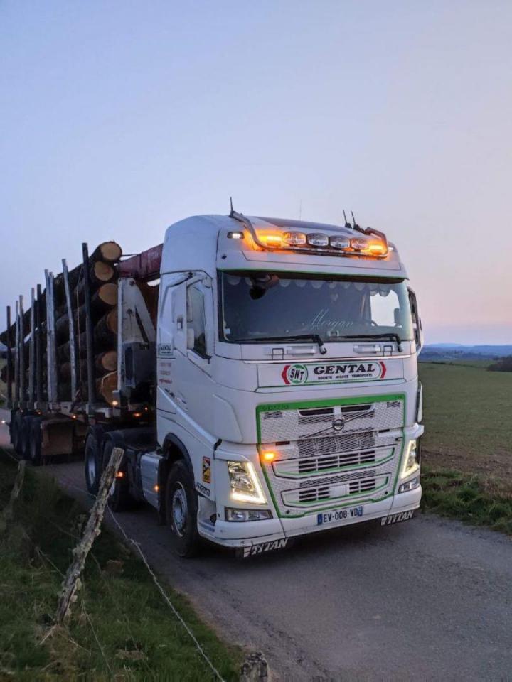 Transport de bois France