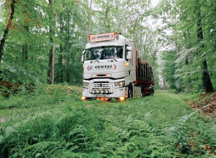 Manutention de bois France