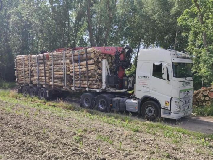 Société de transport de bois France