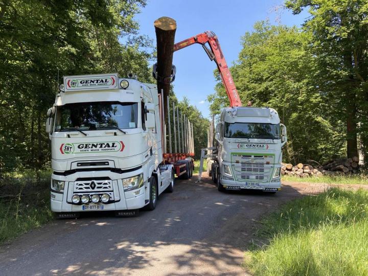 Manutention de bois, Cher