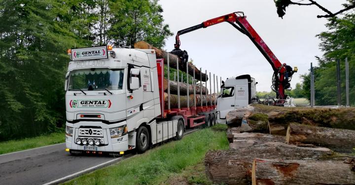 Manutention de bois France