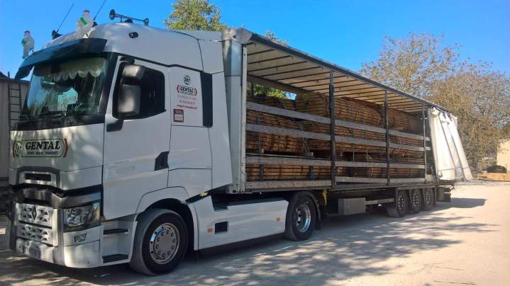 Manutention de bois par des professionnels