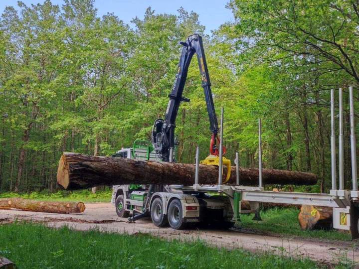 Spécialiste manutention bois France