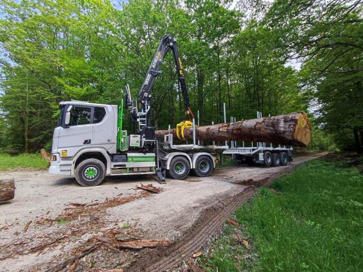 Manutention bois France