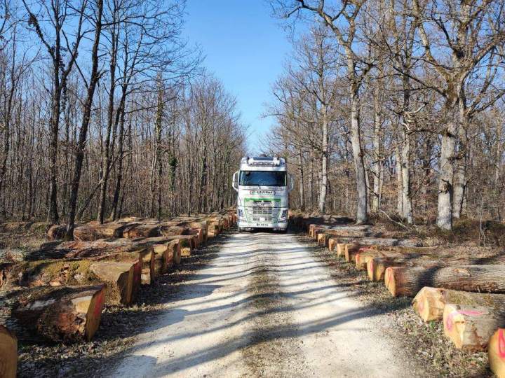 Spécialiste manutention bois France