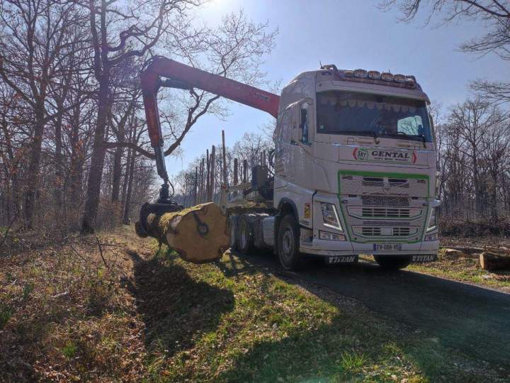 Manutention bois France