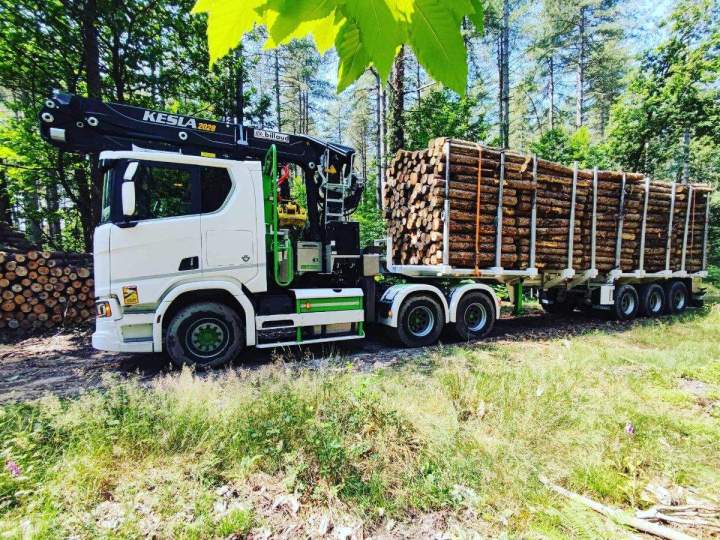 Société de transport de bois France