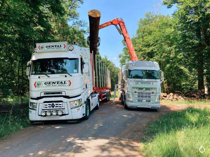 Société de transport de bois France