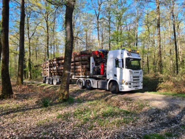 Société de transport de bois France