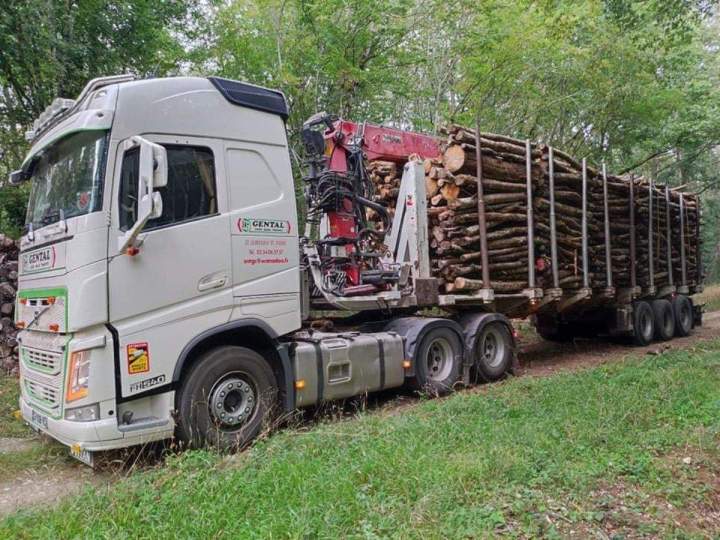 Société de transport de bois France
