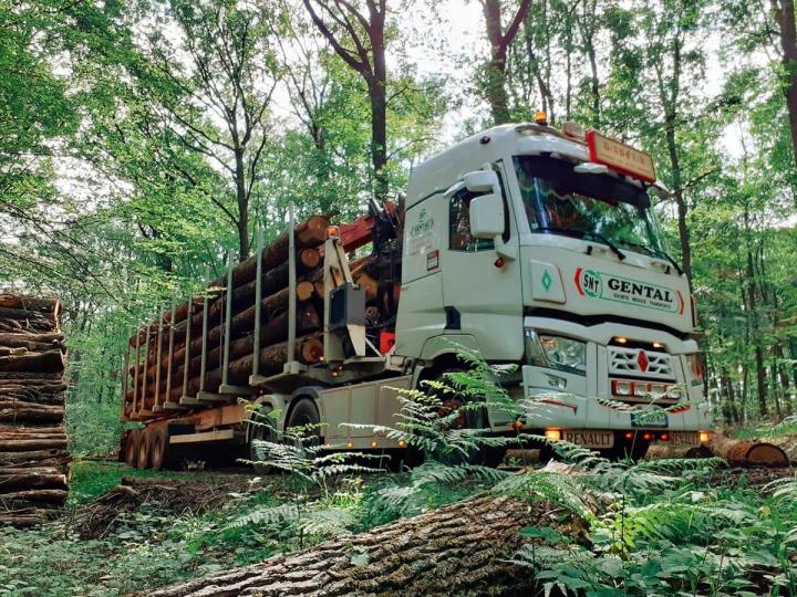 Transport de bois France